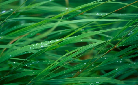 ゴールデンウィーク休業のお知らせ